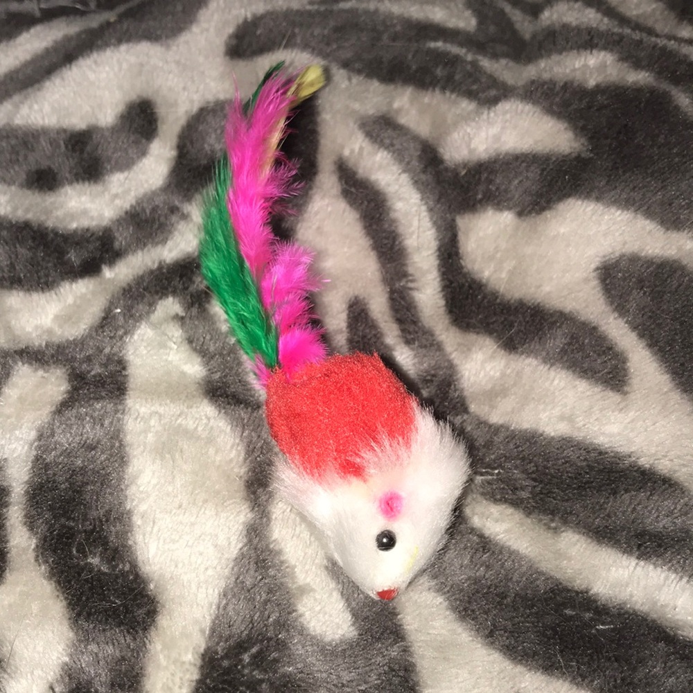Red feather tailed rattle mouse 🐁 with catnip - Picture 2 of 5